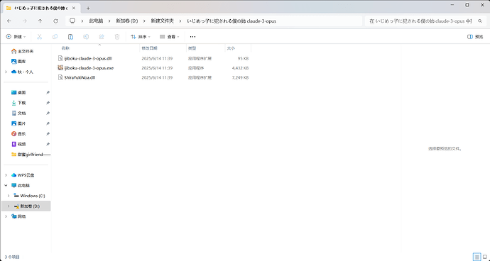 新建文件夹 - 文件资源管理器 2025_6_14 11_40_18