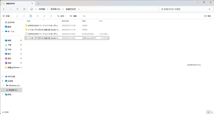 新建文件夹 - 文件资源管理器 2025_6_14 11_40_08